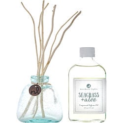 Seagrass & Aloe By Northern Lights